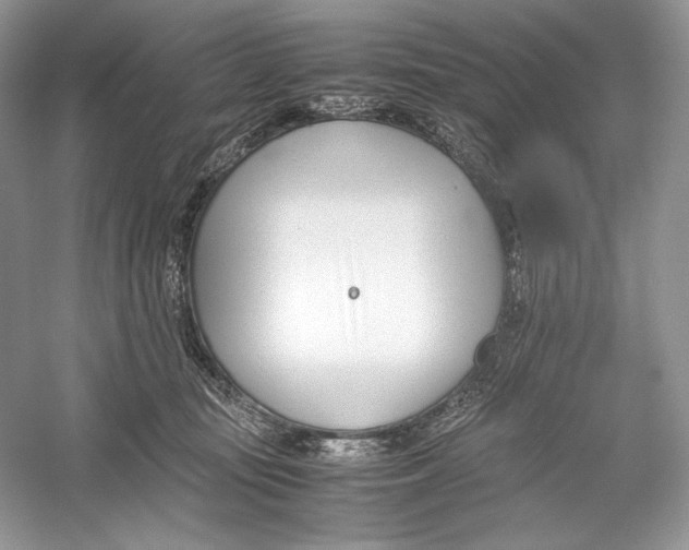 X0000052950371200508050928