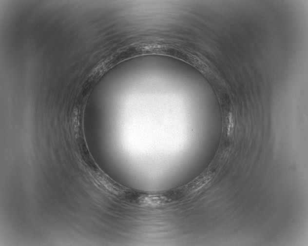 X0000052950372200508050928