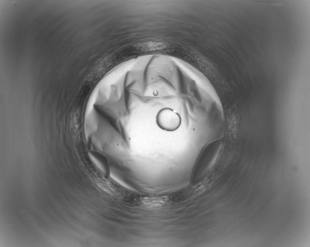 X0000052950373200508050928