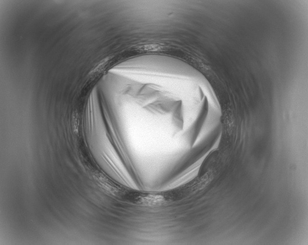 X0000052950374200508050928