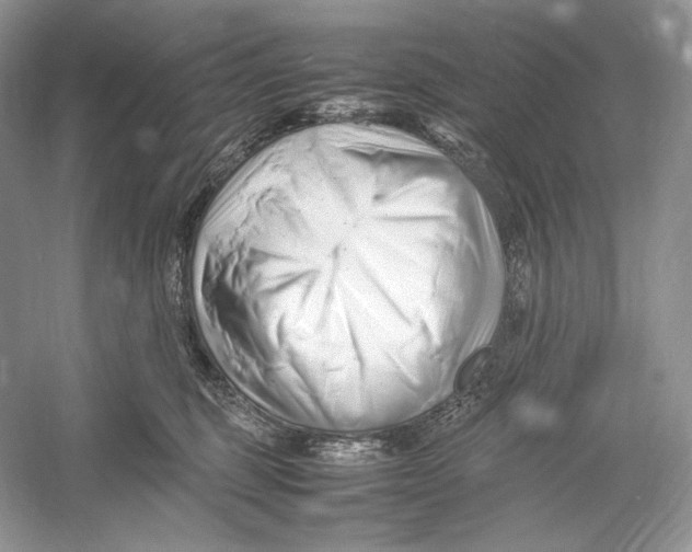 X0000052950375200508050928