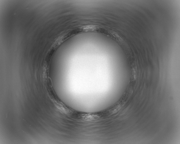 X0000052950379200508050928