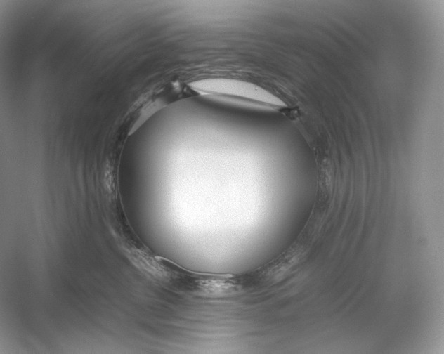 X0000052950380200508050928