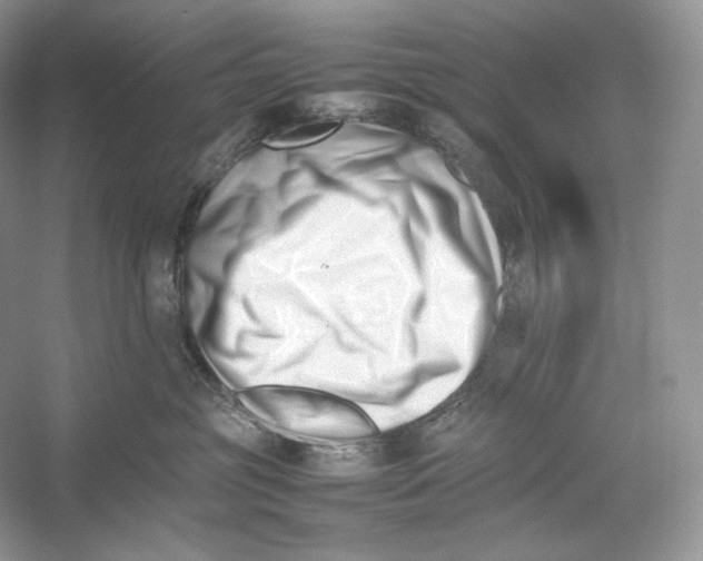 X0000052950381200508050928