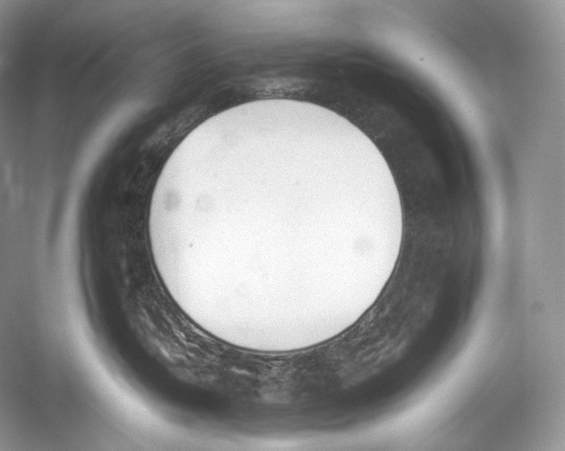 X0000052950382200508050928