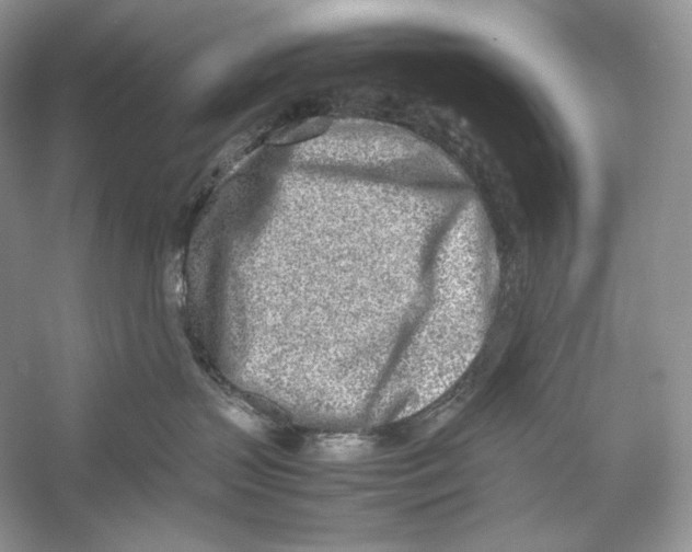 X0000052950383200508050928