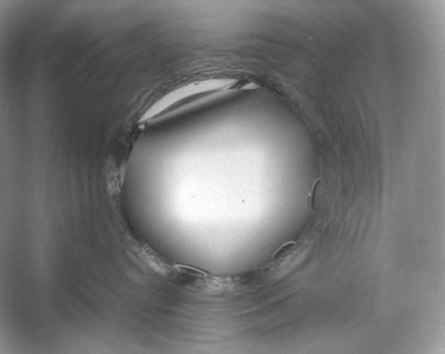 X0000052950384200508050928