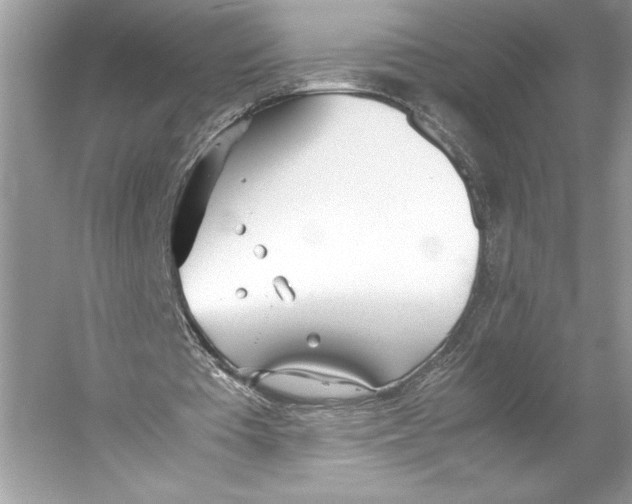 X0000052950385200508050928