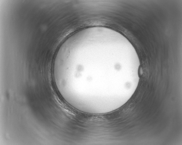 X0000052950386200508050928