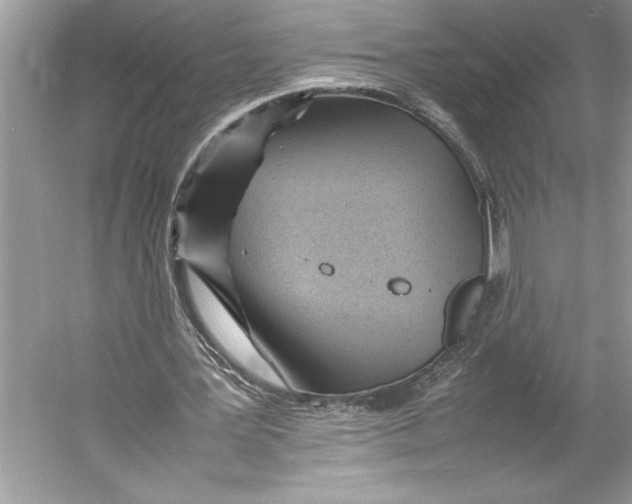 X0000052950387200508050928