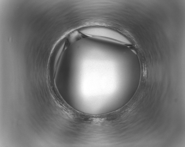 X0000052950388200508050928