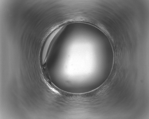 X0000052950389200508050928