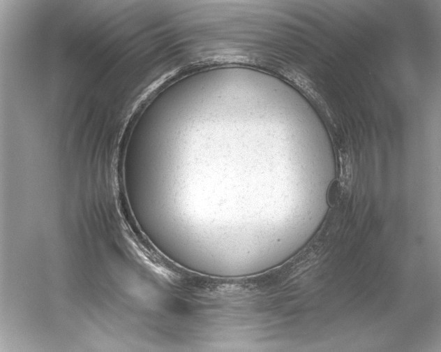 X0000052950390200508050928