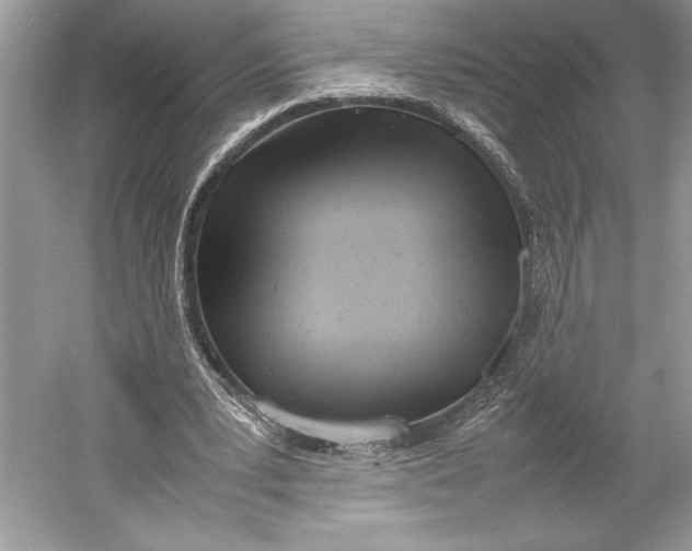 X0000052950391200508050927