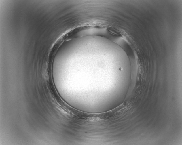 X0000052950392200508050927