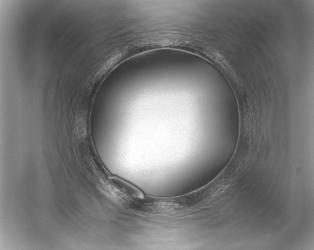 X0000052950393200508050927