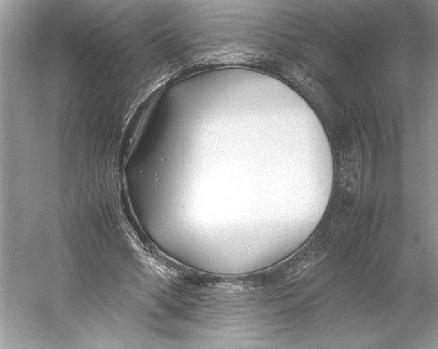 X0000052950394200508050927