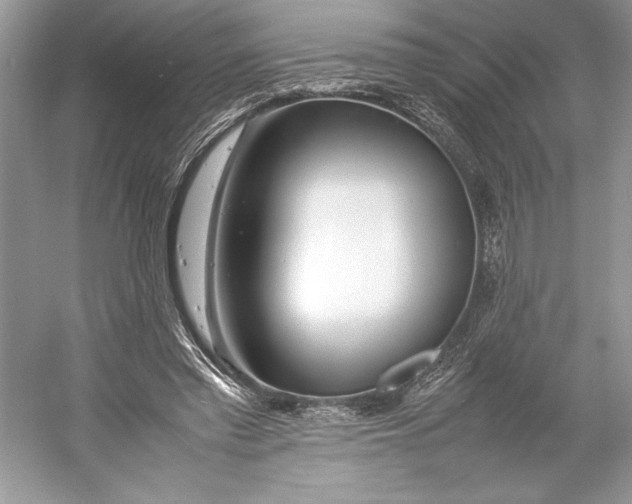 X0000052950397200508050927