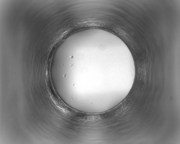 X0000052950398200508050927