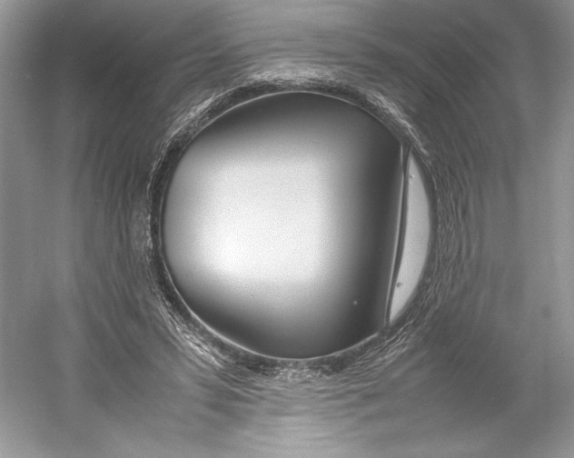 X0000052950399200508050927