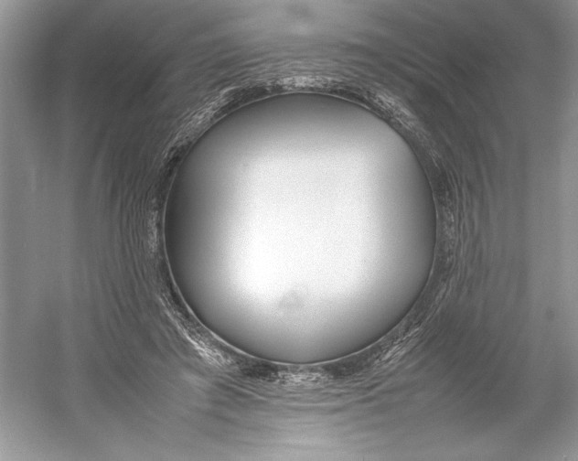 X0000052950401200508050927