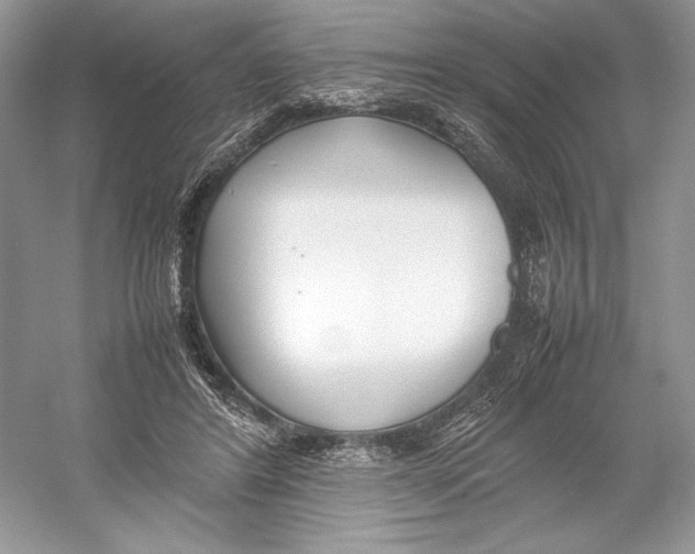 X0000052950404200508050927