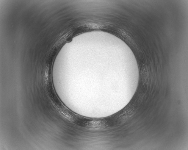 X0000052950406200508050927