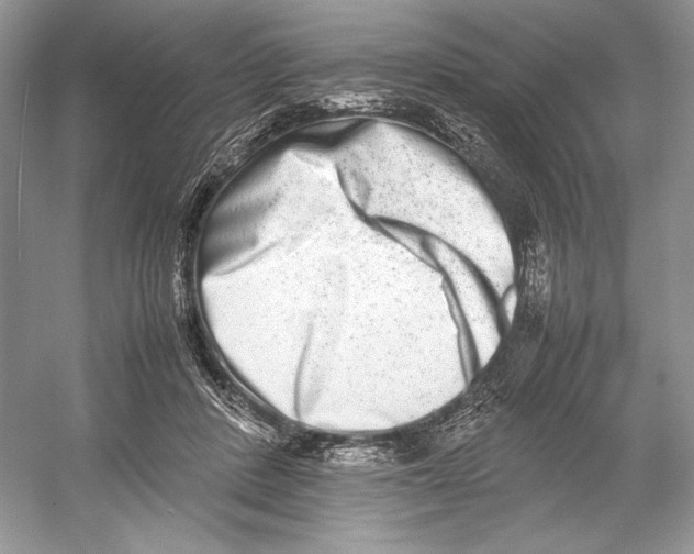 X0000052950408200508050927