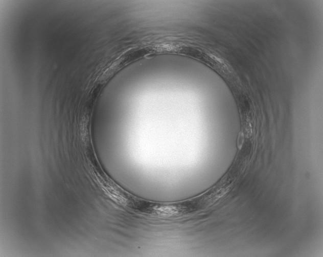 X0000052950409200508050927