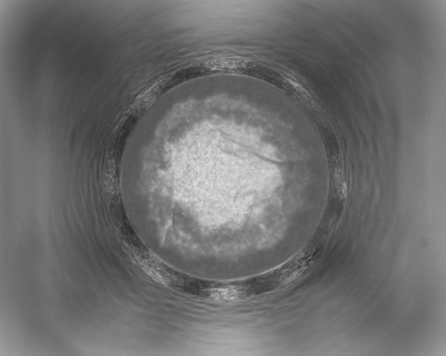 X0000052950411200508050927