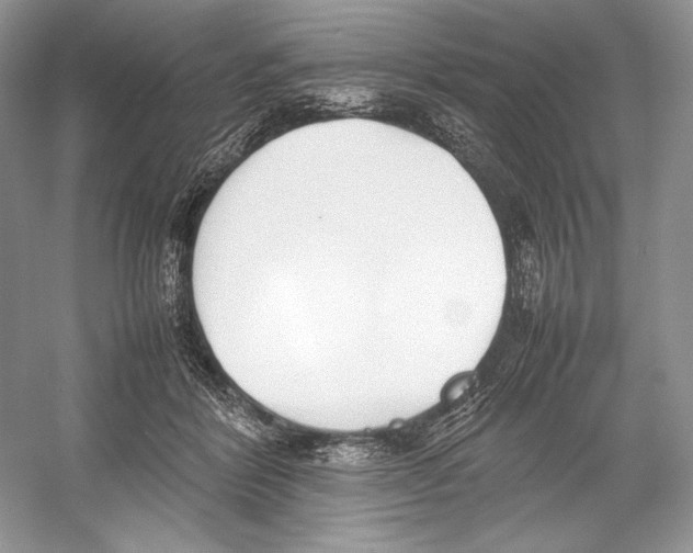 X0000052950412200508050927