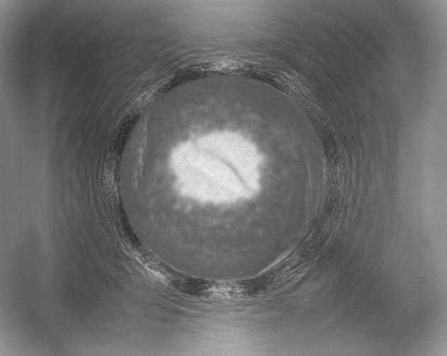 X0000052950415200508050927