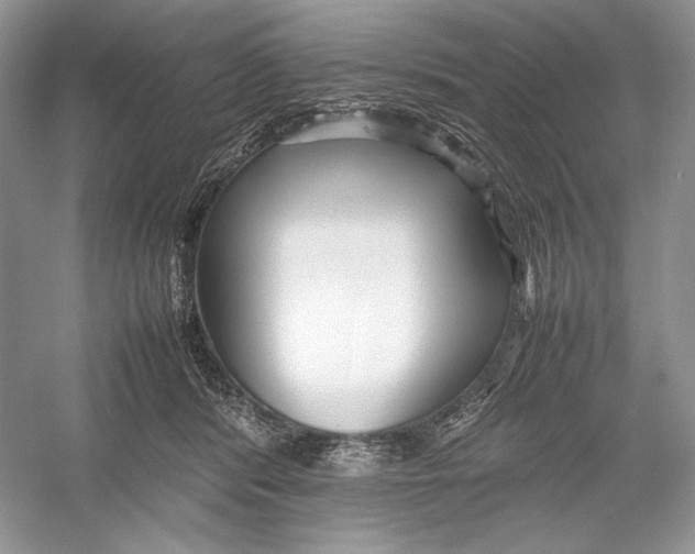 X0000052950416200508050927