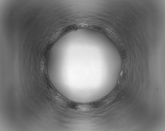 X0000052950417200508050927