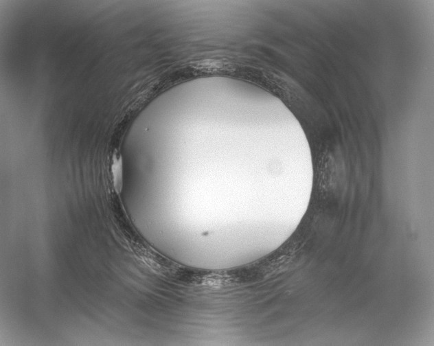 X0000052950420200508050927