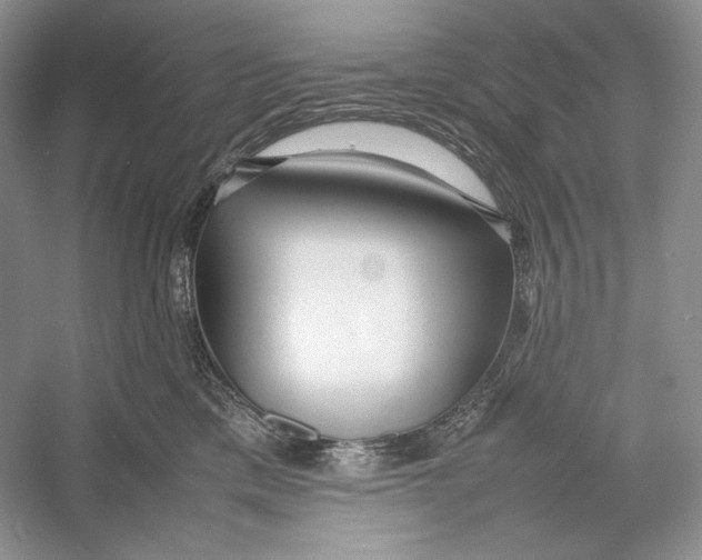 X0000052950425200508050927