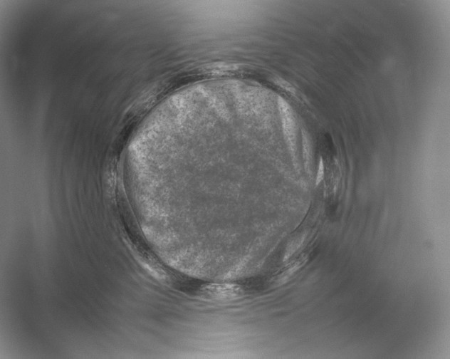 X0000052950427200508050927