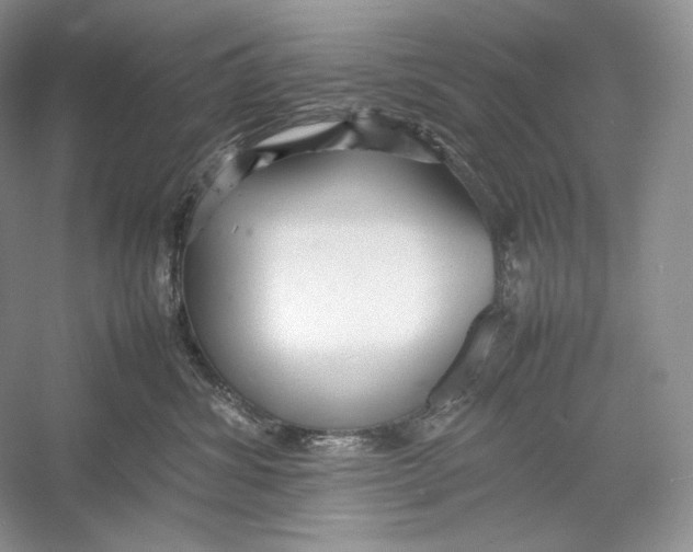 X0000052950428200508050927