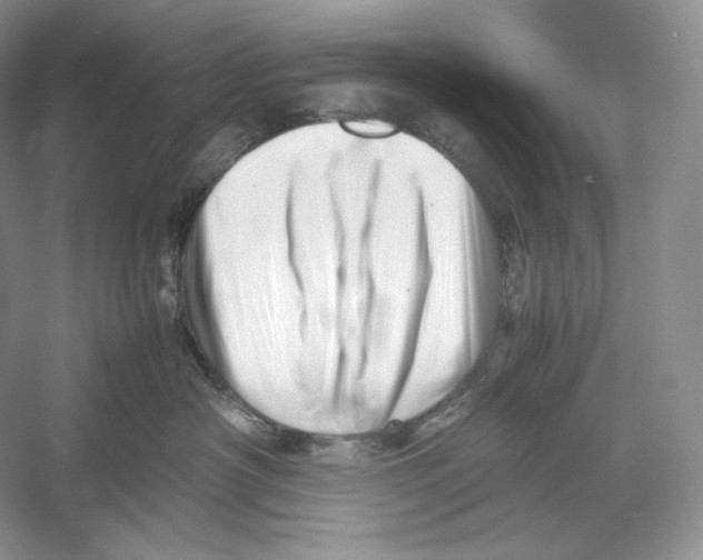 X0000052950430200508050927