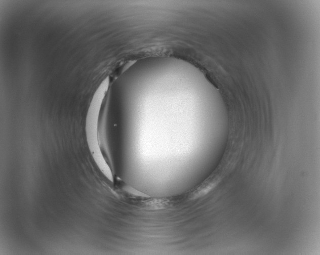 X0000052950432200508050927