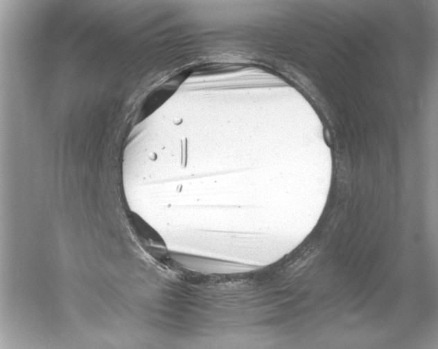 X0000052950433200508050926