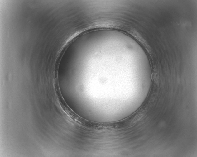 X0000052950434200508050926