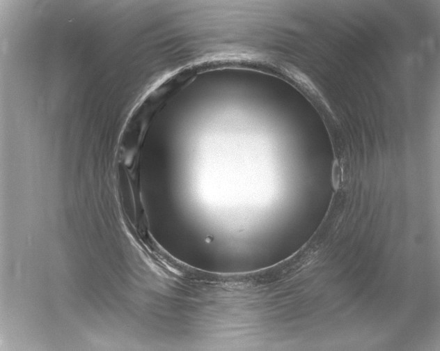 X0000052950436200508050926