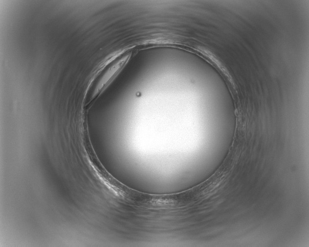 X0000052950437200508050926