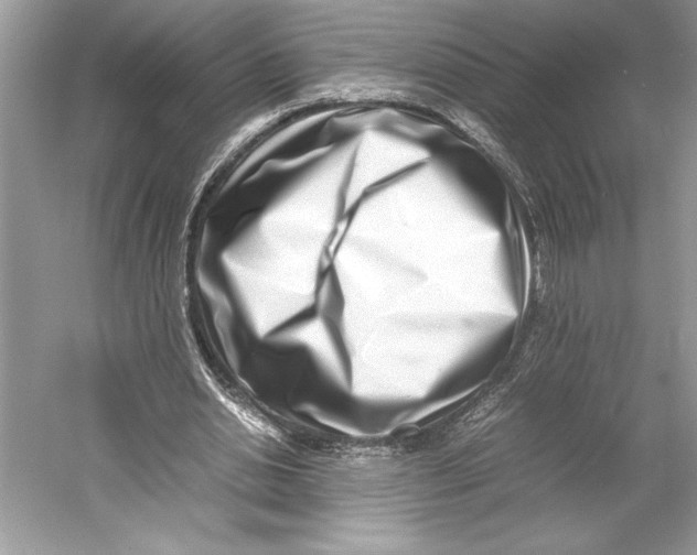 X0000052950438200508050926