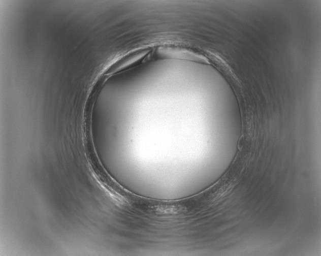 X0000052950439200508050926