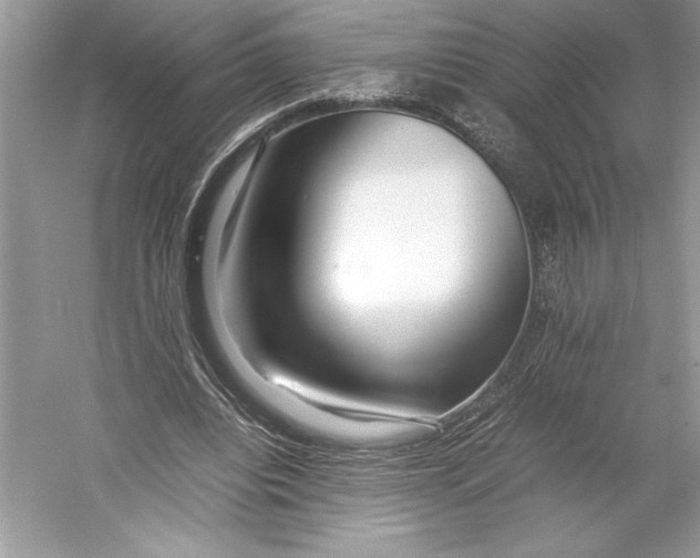 X0000052950440200508050926