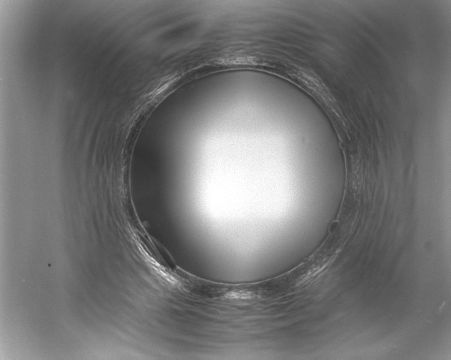 X0000052950441200508050926