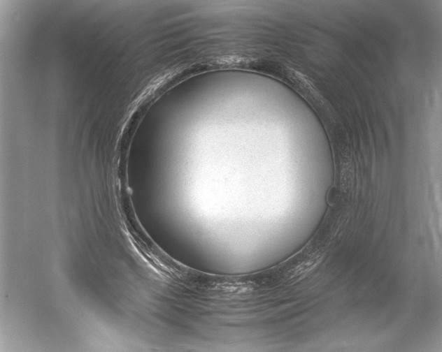 X0000052950443200508050926