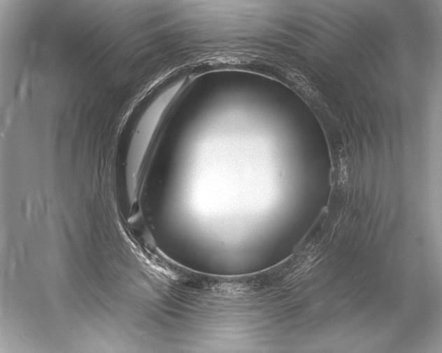 X0000052950444200508050926